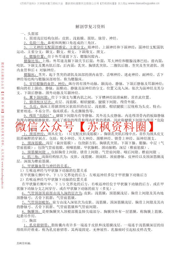局部解剖学